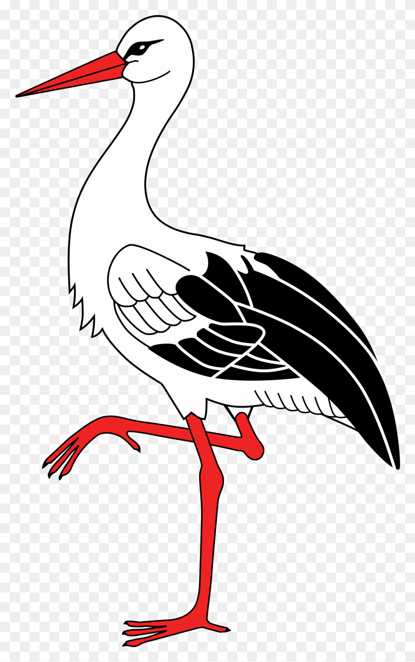 1549x2545 Stork Cigogne Dessin, Ganso, Pájaro, Animal Hd Png