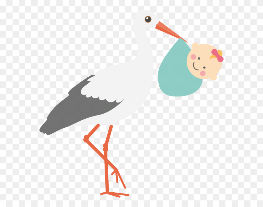 589x601 Stork Clipart Surrogacy Surrogacy Clipart, Bird, Animal, Beak HD PNG Download