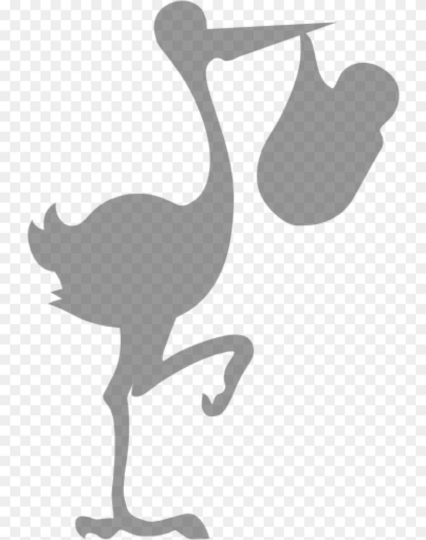 Stork Network, Animal, Bird, Crane Bird, Waterfowl PNG