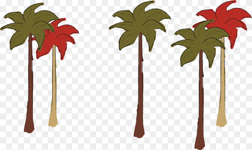 Story Fresh, Palm Tree, Plant, Tree, Vegetation Transparent PNG