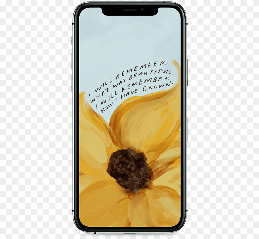 381x777 Storyteller Quotation, Electronics, Phone, Flower, Mobile Phone Transparent PNG