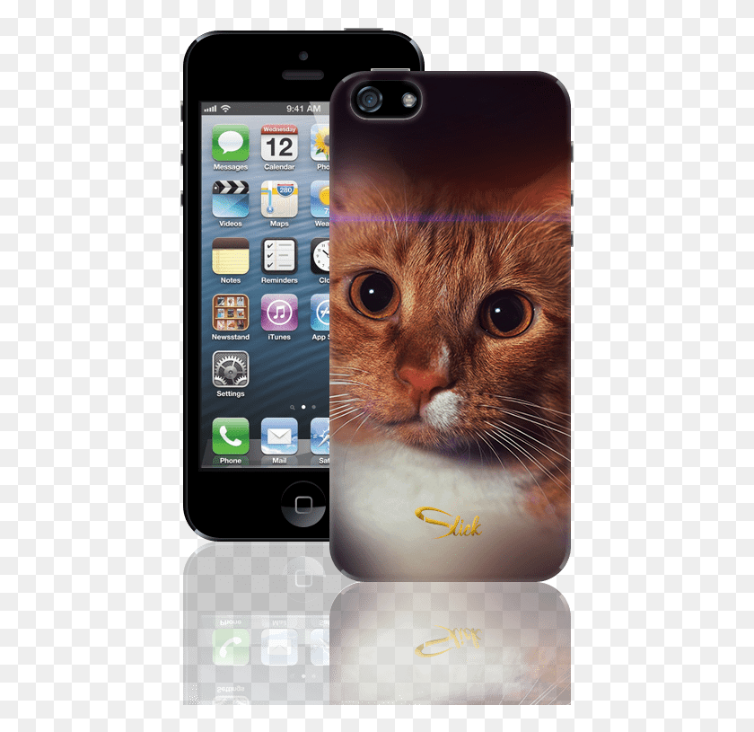 439x755 Straight Face Cat Iphone, Mobile Phone, Phone, Electronics HD PNG Download