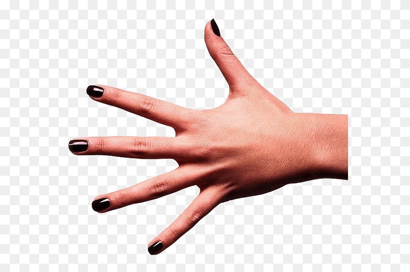 587x497 Straight Fingers, Person, Human, Hand HD PNG Download