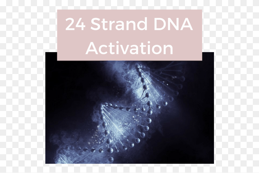 550x501 Strand Dna Activation Elegant Alchemy, Fractal, Pattern, Ornament HD PNG Download