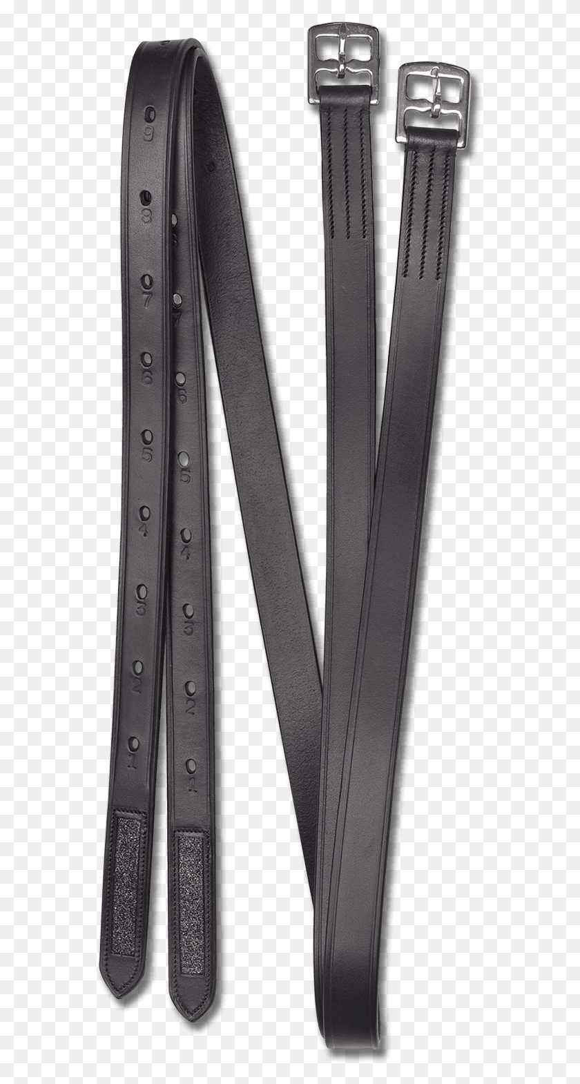 559x1510 Strap, Belt, Accessories, Accessory HD PNG Download