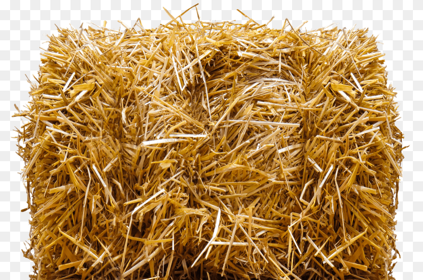 1280x847 Straw Bale, Countryside, Nature, Outdoors Clipart PNG