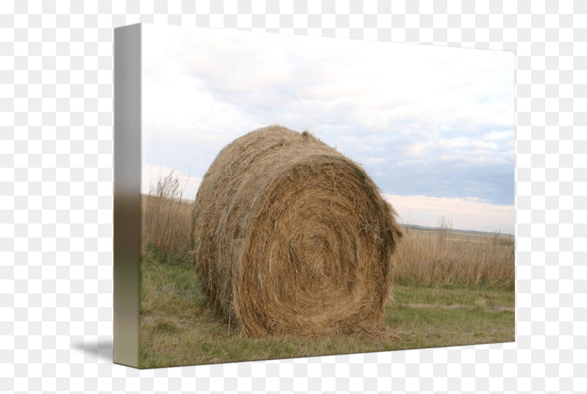 650x504 Straw Transparent Haystack Hay, Nature, Outdoors, Countryside HD PNG Download