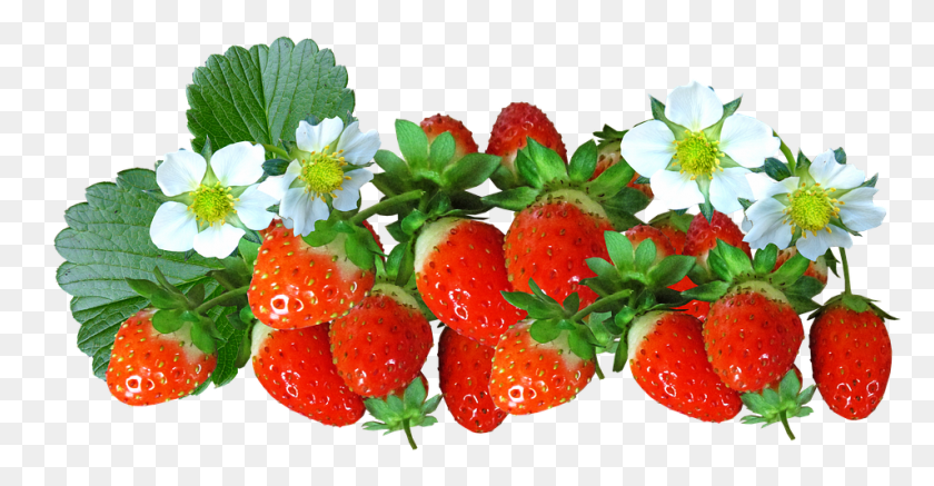 954x462 Strawberries Fruit Food Flowers Summer Natural Strawberry Flower, Plant, Dish, Meal HD PNG Download