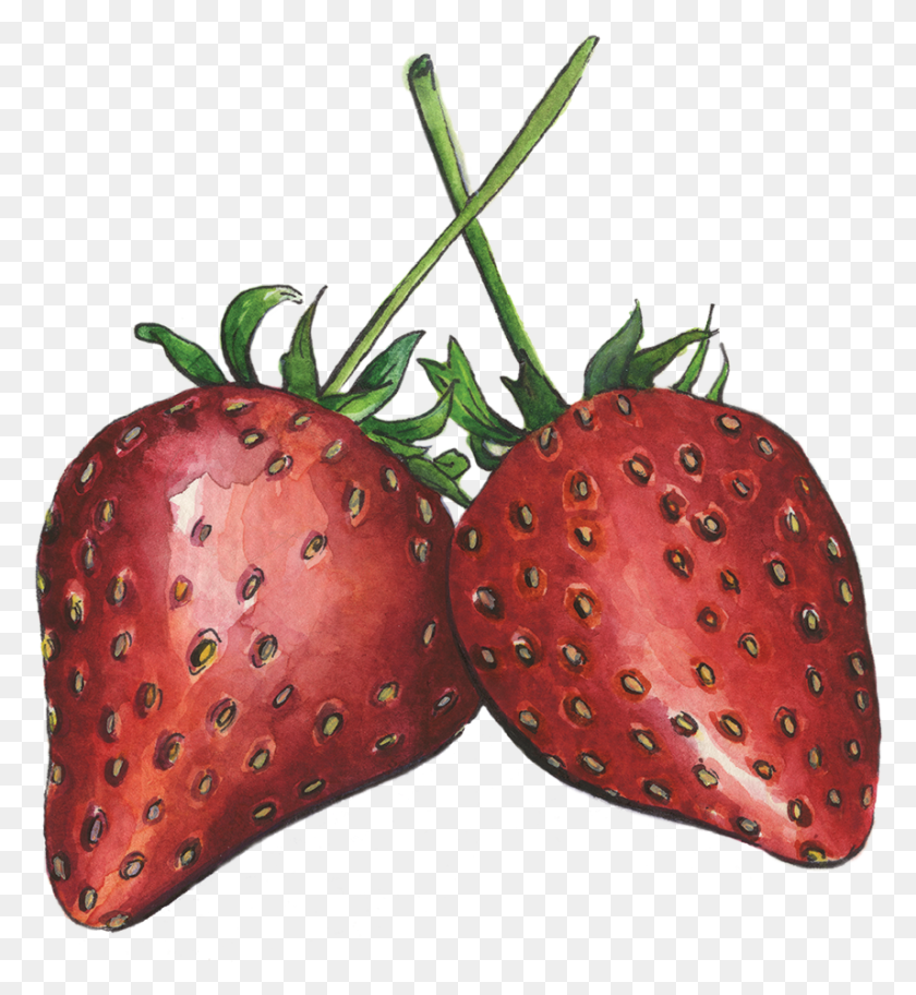 857x937 Strawberries Strawberry, Fruit, Plant, Food HD PNG Download