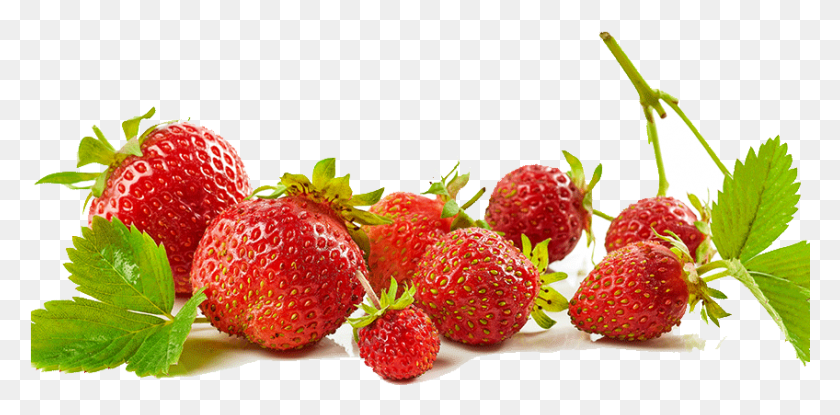848x386 Strawberries Strawberry, Fruit, Plant, Food HD PNG Download