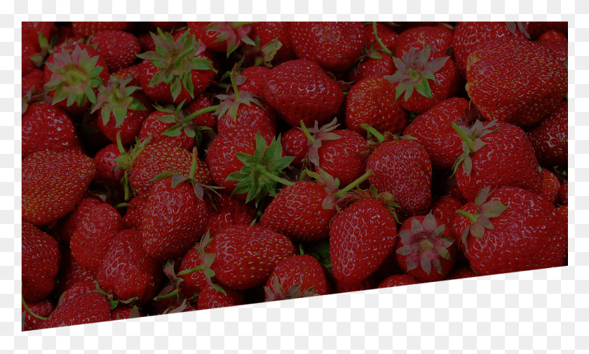 981x562 Strawberries Woman Charged Over Australia Strawberry Needle Scare, Fruit, Plant, Food HD PNG Download