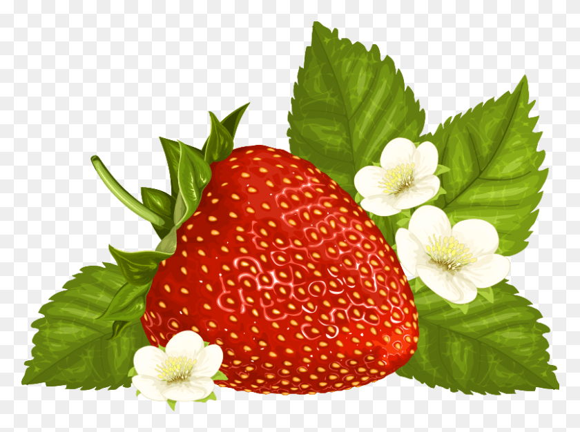 801x582 Strawberry, Fruit, Plant, Food HD PNG Download