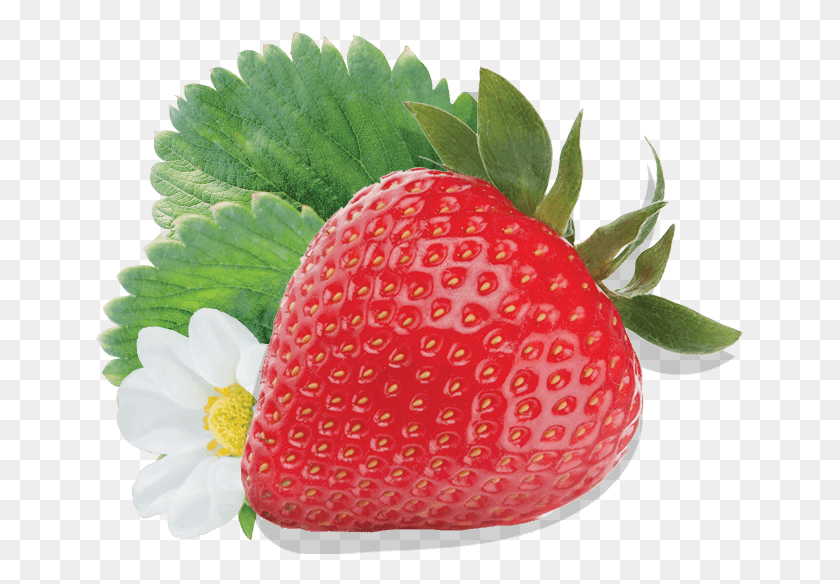 649x524 Strawberry, Fruit, Plant, Food HD PNG Download