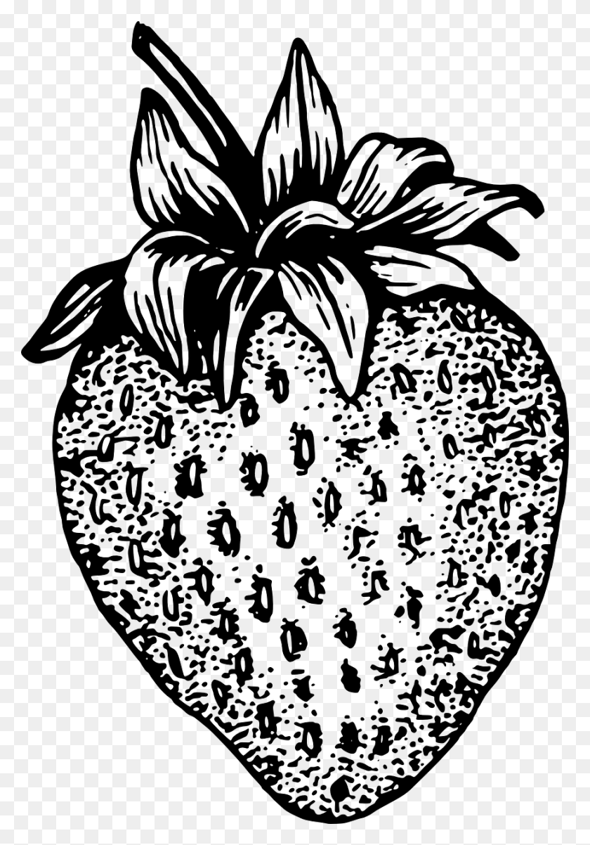 874x1280 Strawberry Berry Plant Black And White Picture Of Strawberry, Gray, World Of Warcraft HD PNG Download