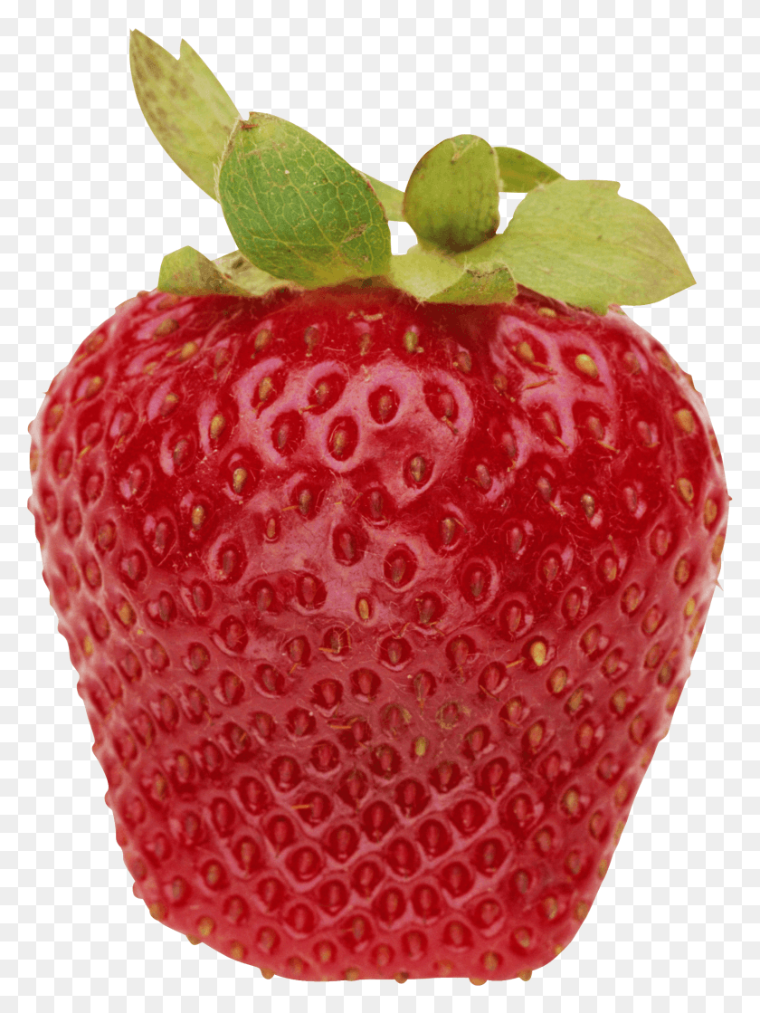 1691x2298 Strawberry Images Image Strawberry, Fruit, Plant, Food HD PNG Download