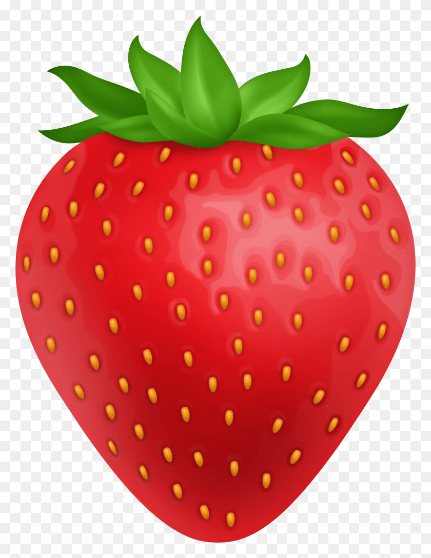 3731x4922 Strawberry Transparent Image Transparent Background Strawberry Clipart HD PNG Download
