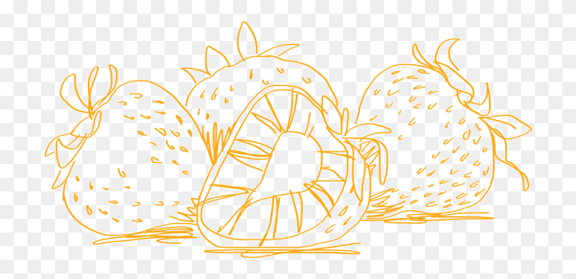 712x348 Strawberrydrawing Illustration, Text, Label, Stencil HD PNG Download