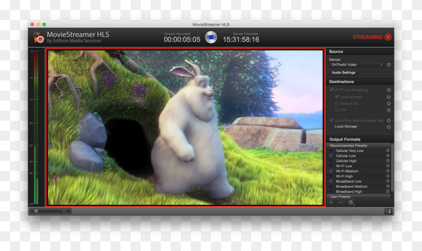 2609x1469 Stream For Multiple Devices At Once Fat Grey Bunny, Wildlife, Animal, Mammal HD PNG Download