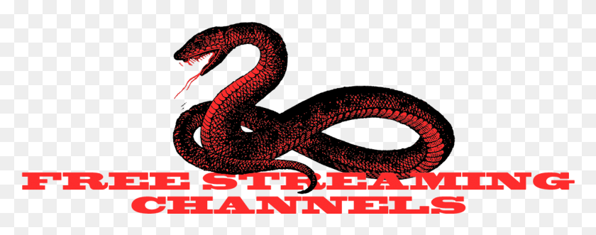 1151x400 Streaming Channel Adult Swim Piazza Di Spagna, Text, Dragon, Animal HD PNG Download