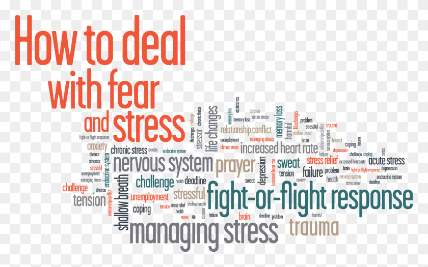 2110x1259 Stress Reduction Action Steps Graphic Design, Word, Text, Label HD PNG Download