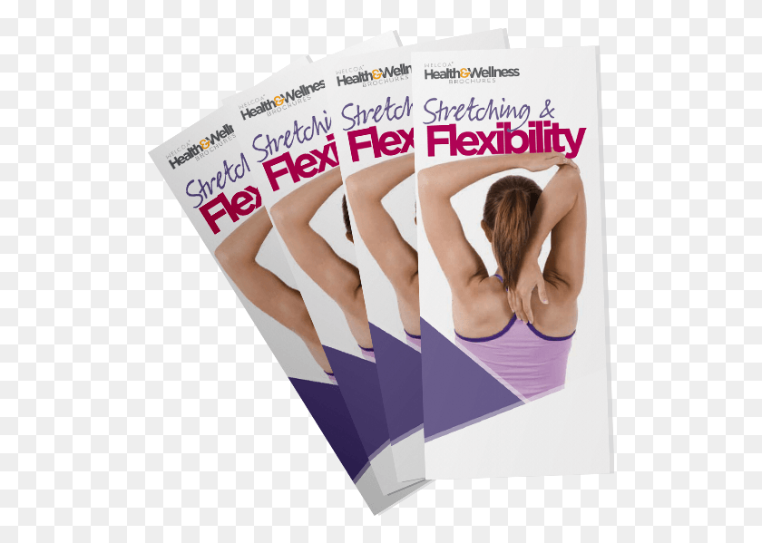 515x539 Stretching Amp Flexibility Brochure Weight Loss Brochure, Flyer, Poster, Paper HD PNG Download