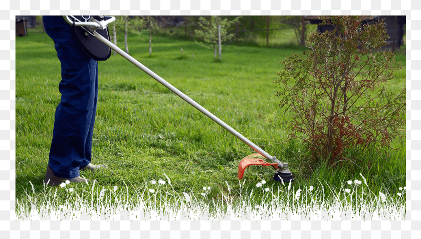 961x514 String Trimmer, Grass, Plant, Person HD PNG Download