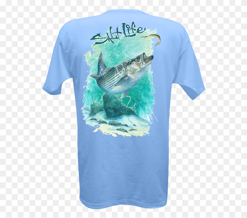 558x681 Striper Salt Life Tshirt Salt Life Decals, Clothing, Apparel, T-shirt HD PNG Download