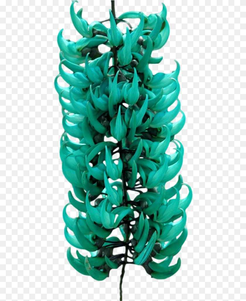 Strongylodon Macrobotrys Commonly Known As Jade Figurine, Accessories, Gemstone, Jewelry, Ornament Transparent PNG