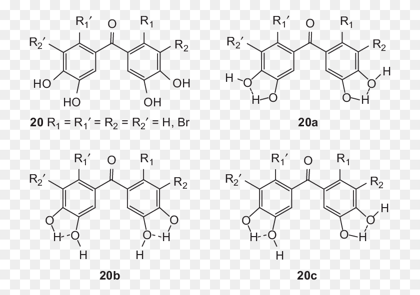 723x531 Structures Of Hydrogen Bonds Between Oh Groups In The Reactive Green 19 Structure, Text, Number, Symbol HD PNG Download