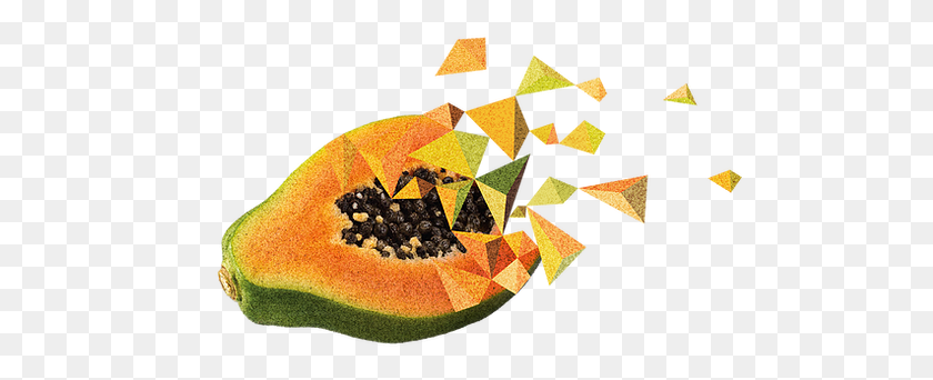 500x282 Studio Papaya Started With The Idea Of Bringing Together Papaya, Plant, Fruit, Food HD PNG Download