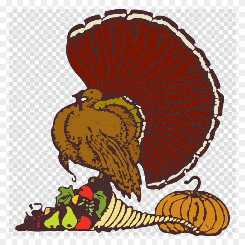 900x900 Stuff It Throw Blanket Clipart Thanksgiving Turkey Turkey Free To Use, Plant, Flower, Blossom HD PNG Download