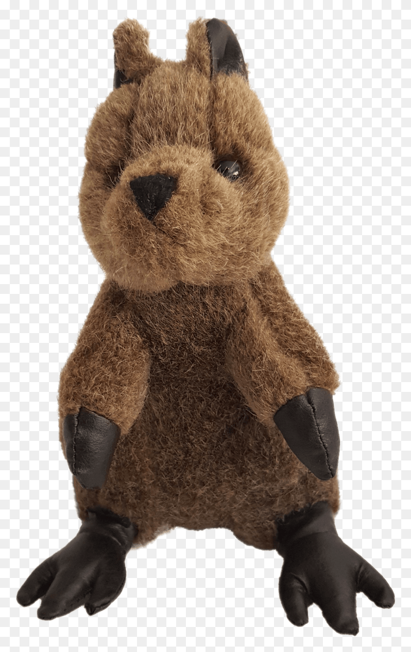 1329x2166 Stuffed Toy, Teddy Bear, Plush HD PNG Download