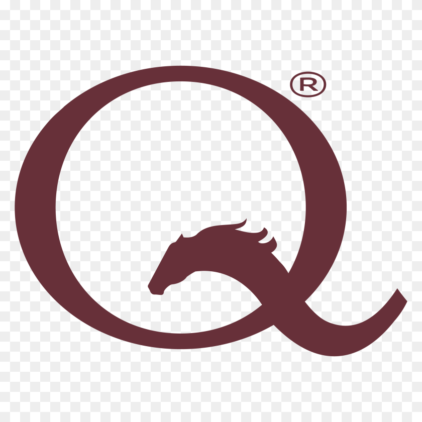 Style Guide Equo, Head, Person, Face, Logo PNG