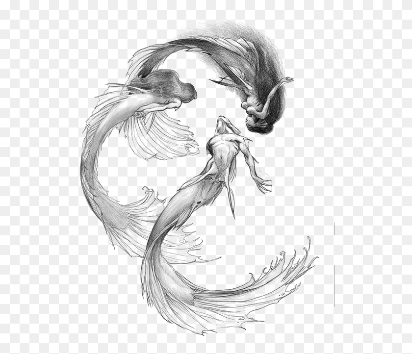 526x662 Sublime Drawing Siren Space Mermaid Iain Mccaig, Bird, Animal HD PNG Download