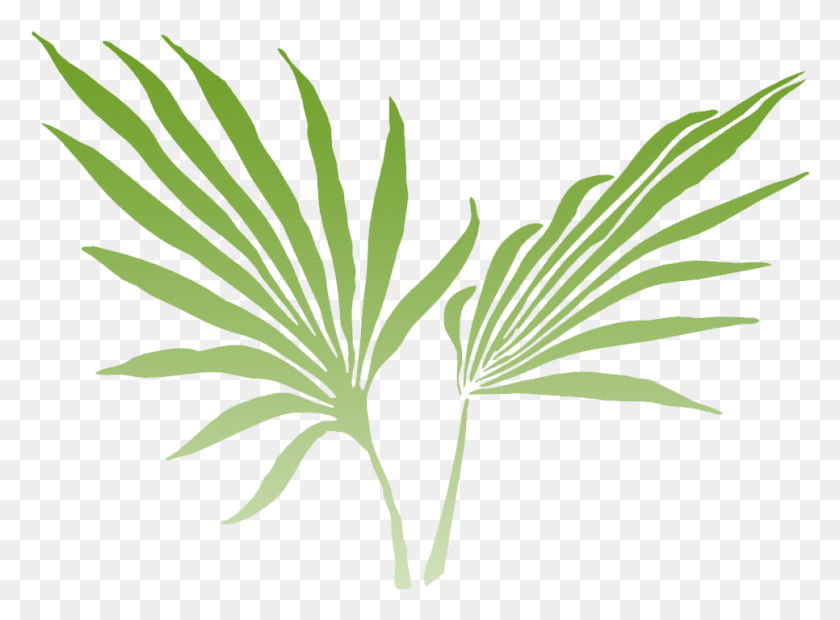966x694 Подпишитесь На Нашу Электронную Рассылку Nandini Jungle Resort Amp Spa Logo, Plant, Leaf, Flower Hd Png Download