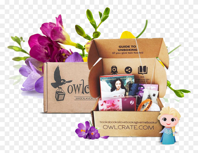 1045x794 Subscription Boxes Owlcrate, Person, Human, Plant HD PNG Download