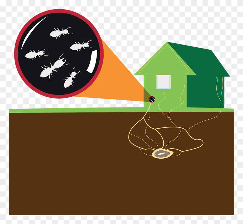 1081x991 Subterranean Termite Colony Illustrated Illustration Of Termites, Triangle, Metropolis, City HD PNG Download