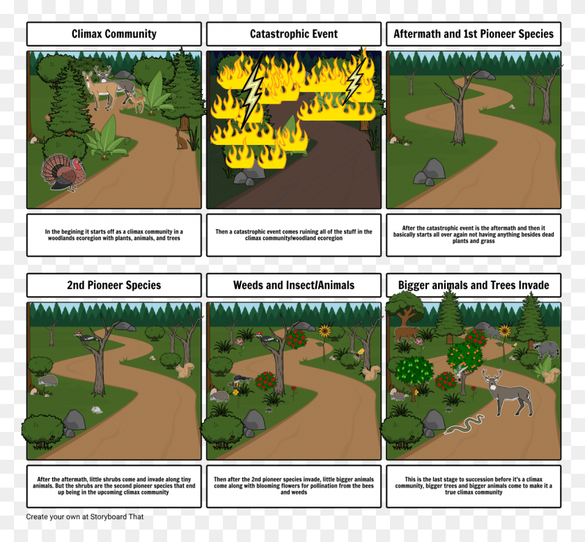 1160x1069 Succession Project Storyboard, Comics, Book, Collage HD PNG Download