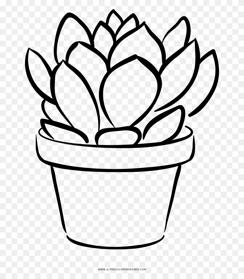 671x900 Succulent Coloring, Gray, World Of Warcraft HD PNG Download