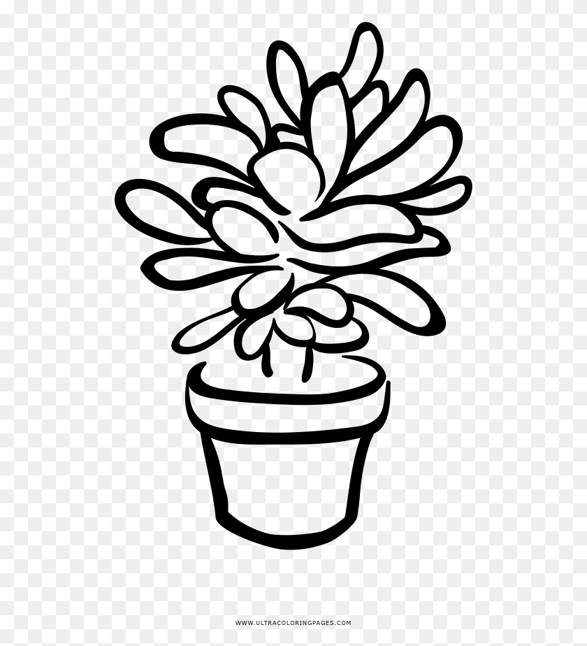 513x864 Succulent Coloring, Gray, World Of Warcraft HD PNG Download