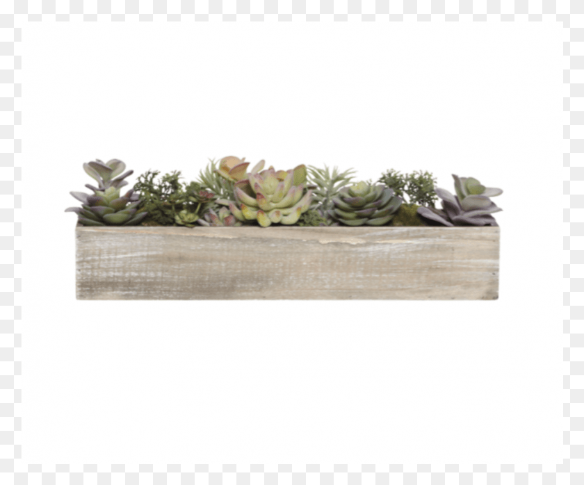 939x769 Succulent Tray Garden Roses, Porcelain, Pottery HD PNG Download
