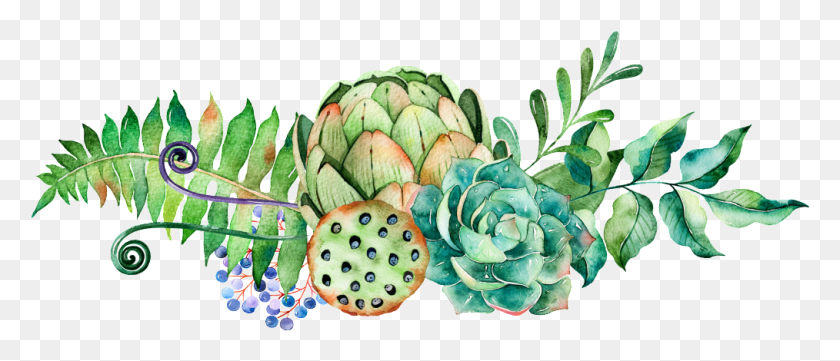 1014x392 Succulents Lotus Watercolor, Plant, Produce, Food HD PNG Download