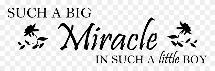 3312x936 Such A Big Miracle In Such A Little Boy, Text, Face HD PNG Download