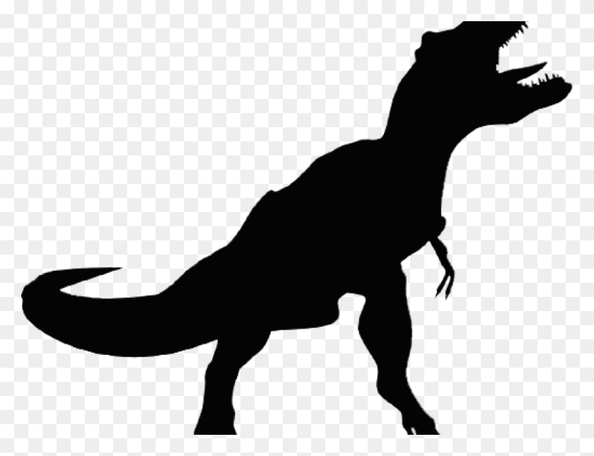 800x600 Силуэт Динозавра Тираннозавра, Животное, Рептилия Png Скачать