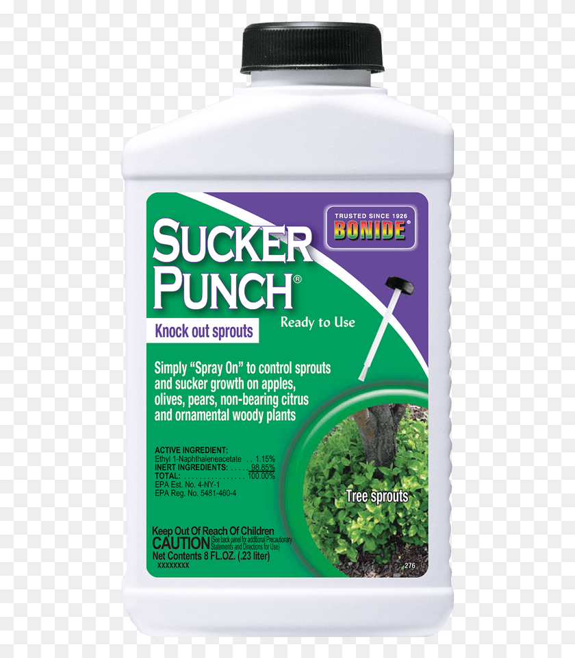 488x900 Sucker Punch Reptile, Advertisement, Poster, Flyer Descargar Hd Png