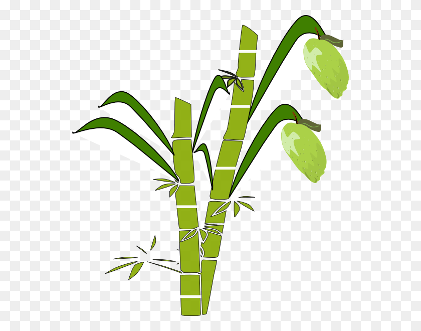 552x600 Sugar Cane Vector Sugar Cane Plant Clip Art, Bamboo HD PNG Download