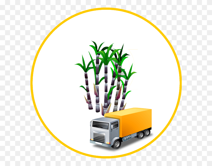 600x600 Sugarcane, Plant, Computer, Electronics HD PNG Download
