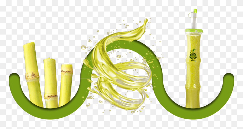 1526x761 Сок Сахарного Тростника Сок Сахарный Тростник Овощной Банан Сок Сахарного Тростника Логотип, Зеленый, Графика Hd Png Скачать