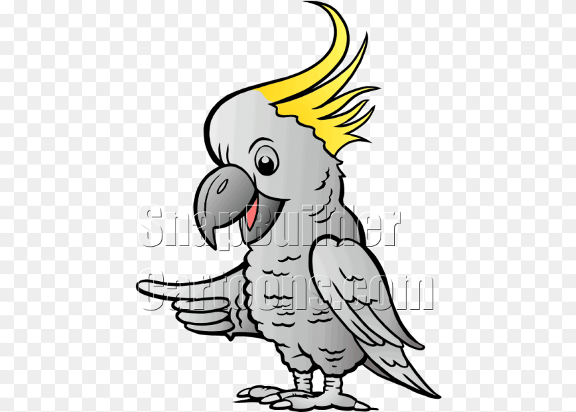 Sulphur Cockatoo Pointing Left Illustration, Animal, Person, Bird, Parrot Transparent PNG