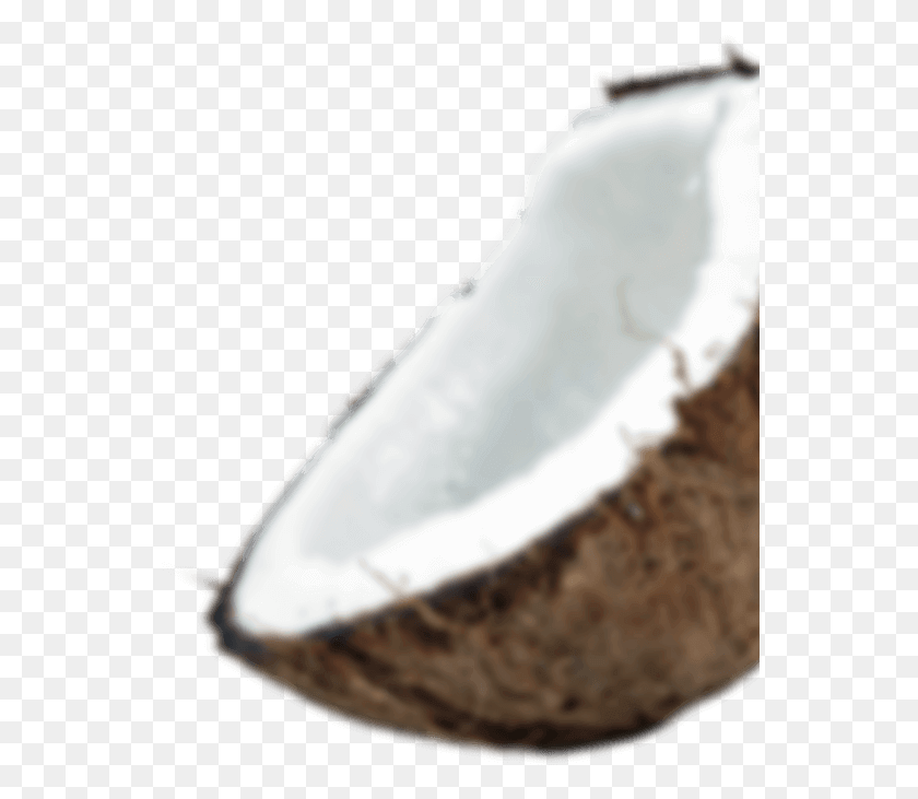 551x671 Sumatera Is The Largest Coconut Producing Island In Knife, Plant, Nut, Vegetable HD PNG Download